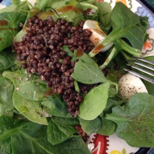 Healthy Easy Lentil Salad